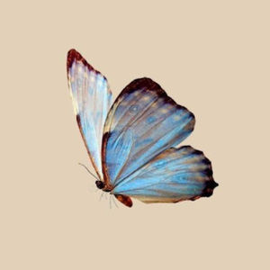 Meet your Posher, Ana